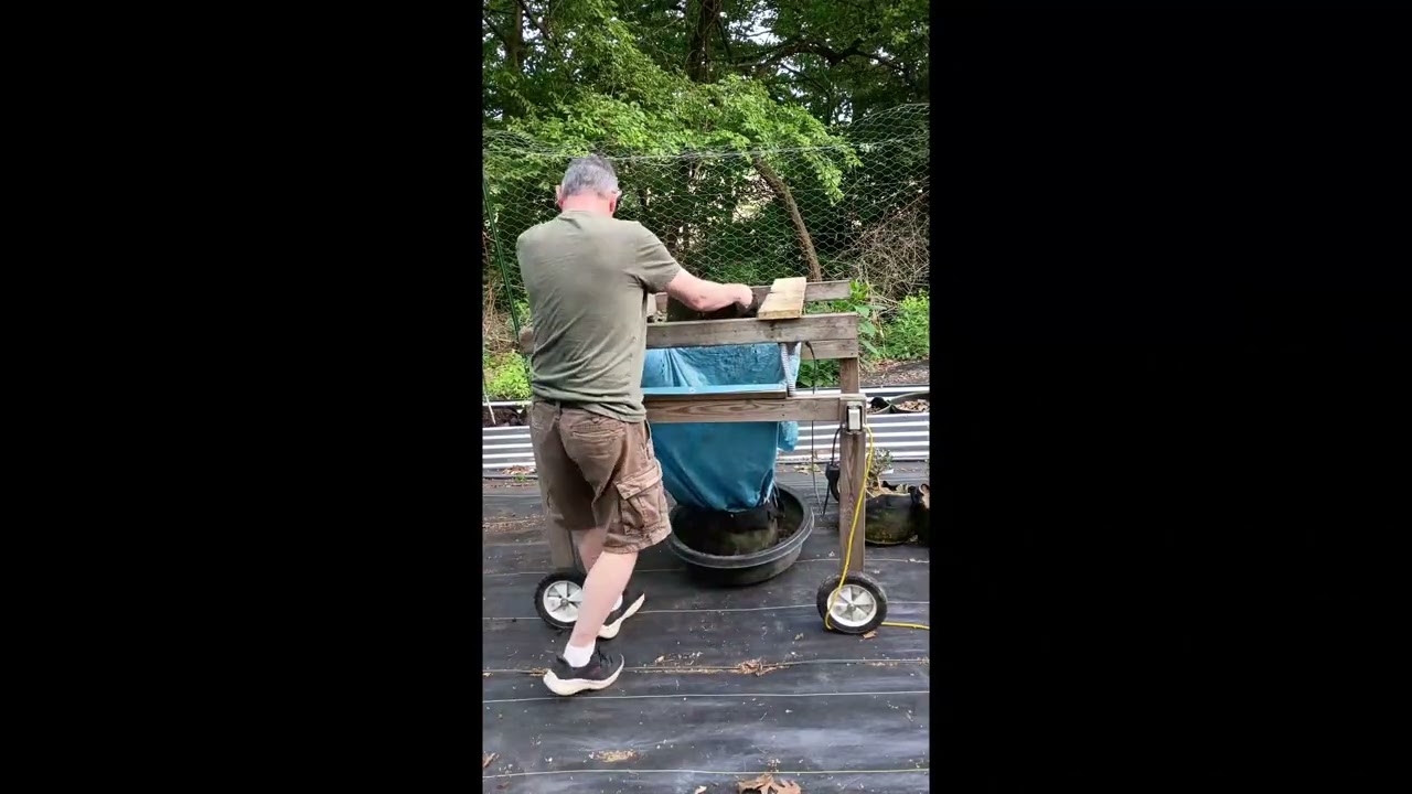 YouTube player