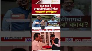 Sanjay Raut On Raj Thackeray Fadnavis Meeting  | राज ठाकरे-फडणवीसांच्या भेटीवर राऊतांची प्रतिक्रिया