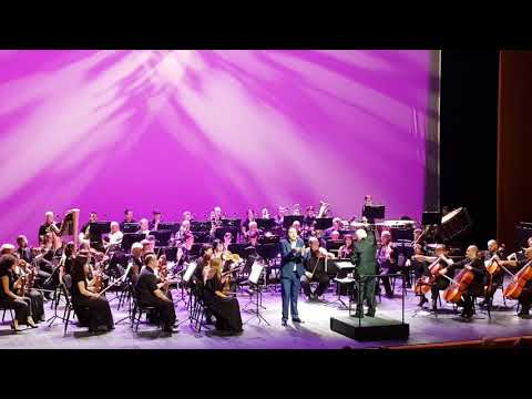 ზურაბ იაშვილი - გერმანის არიოზო პიოტრ ჩაიკოვსკის ოპერიდან \"პიკის ქალი\"