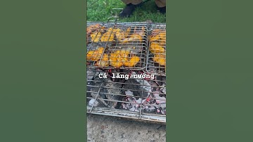 Cá lăng nướng #calangnuong #dattiectangia #nautiectrongoi