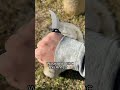 What Are The Strangest Folding Knives You've Ever Seen?! 💯🤯 Reate EXO-K Gravity Karambit! #shorts