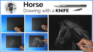 Horse Scratchboard By Esayas