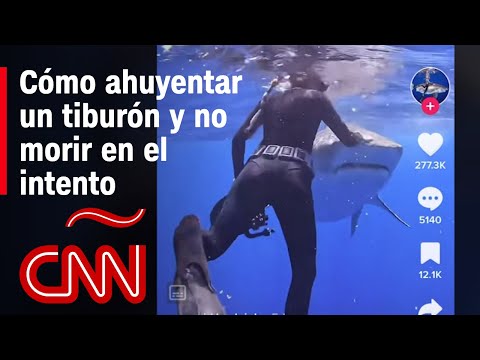Video: ¿Las bengalas asustan a los tiburones?