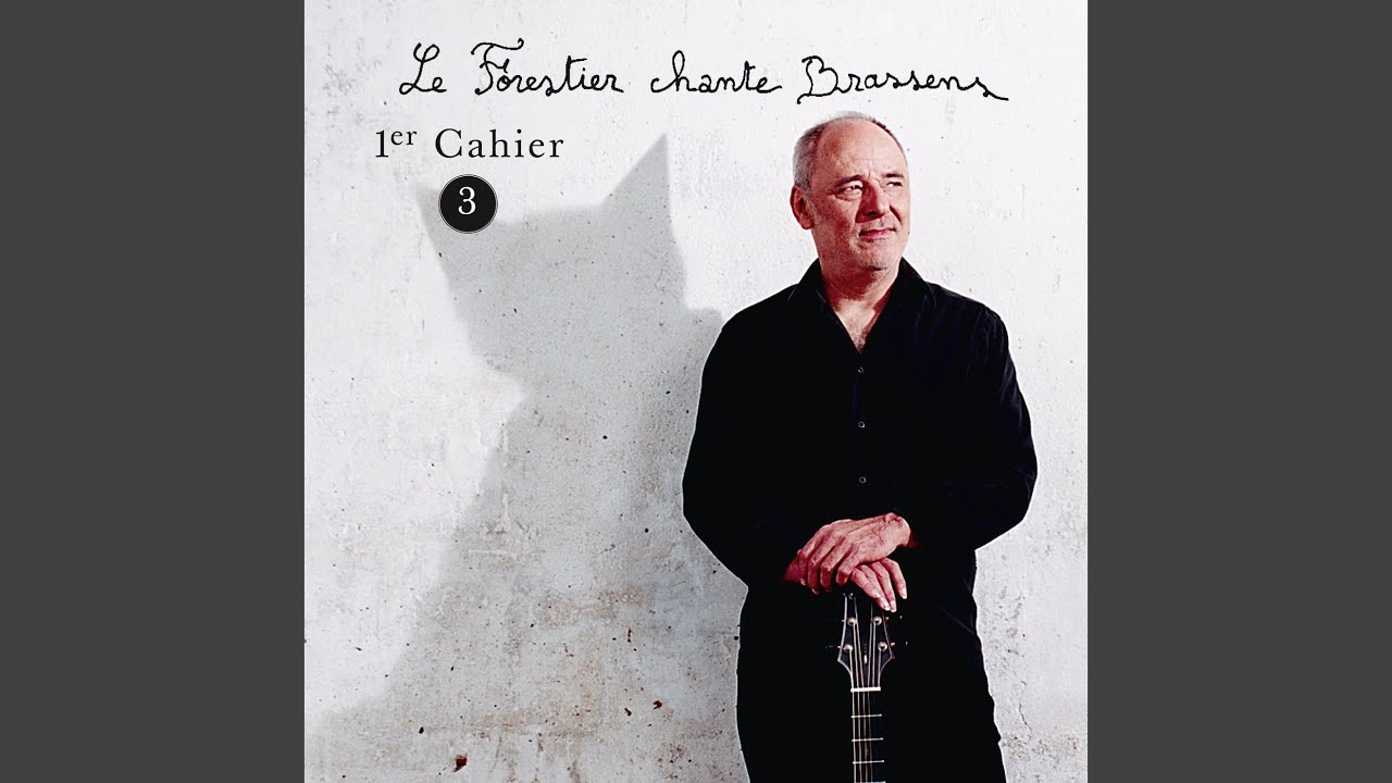 Sale petit bonhomme (Live)