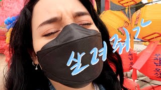 (kinda) vlogging in korean // lotus lantern festival in seoul