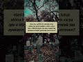 ☝️Hiç beklemediğimiz bir anda aniden öleceğiz, peki biz buna hazırmıyız? | @Allah'ın Delisi