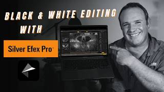 The Ultimate Guide to Black and White Editing with Silver Efex Pro for Wildlife Photography screenshot 3