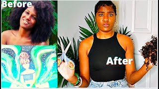 BIG CHOP | I cut all my hair off, because my hair fell out