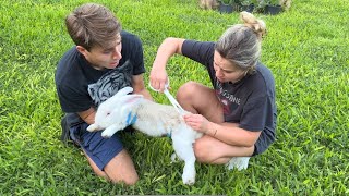 WE FOUND MORE ABANDONED RABBITS ! WHAT HAPPENED ?!