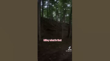 Sasquatch vocalizing? #mystery #creature #usa #creepypasta #sasquatch_01 #forestmonster ##wolfman