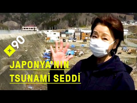 Japonya'nın tsunami seddi: \