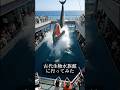 絶滅したはずの生物が泳ぐ水族館に行ってみた #shorts