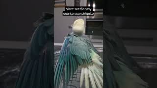 Muito sensual😂😂