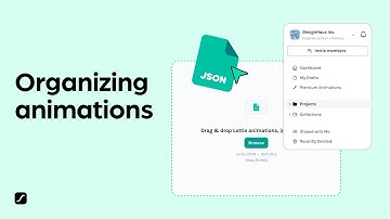 LottieFiles tutorial for beginners: How to organize your Lottie animations