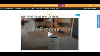 Celebrity Pop Up Maker Free WP Plugin Net Worth