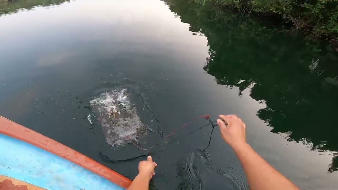 ព្រឹកព្រលឹម លើកលបក្តាម នឹងដាក់ លបក្តាមថែម 