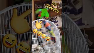 Ollie (Dip-Shiteo/Green Bastard) got his toe bit for pointing his asshole as Sherbert!😆😂😅🤣