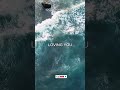 Loving You – Peaceful Acoustic Instrumental Worship for Prayer &amp; Reflection