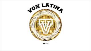 Vlad Dobrescu - Acasa feat. Mira, Amadeus & Tija (Vox Latina Remix)