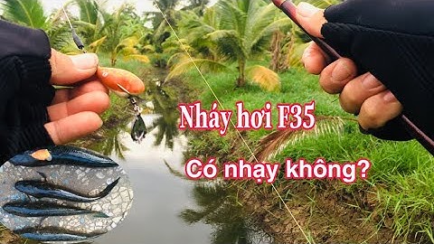 Câu Cá Lóc, Lure Cá Lóc Bằng Mồi Nhái Hơi F35, Máy Đứng FX Symano 3000,Cần Câu World Shahula Symano