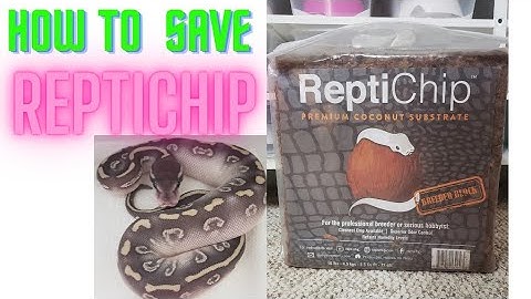 Fixing Waterlogged ReptiChip