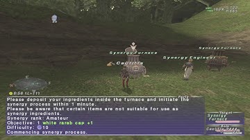 FFXI - Limited Time Treasure Hunter and Reraise Headpiece