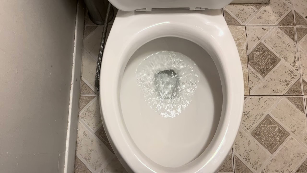 Brand New Mansfield Alto Smart Height Toilet In My Apartment