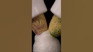 ASMR Marker pens vs cotton swab close-up macro #shorts #satisfying #closeup #asmr #macro