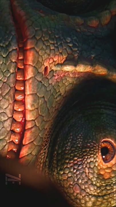 Rango❤️. #rango #movie #shorts #youtube #sub #edit #viral #instagram #tiktok #sub #viral