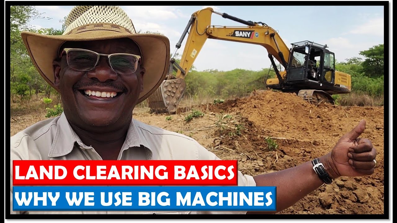 Farming in Zambia The Basics of Turning Bush into Farm Land Using