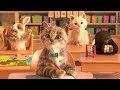 Learn With The Cutest Cat Little Kitten Primary School Educational Games Children HD 