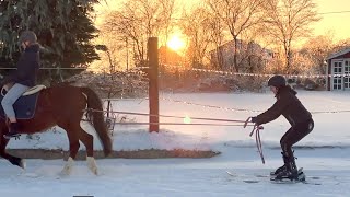 skifahren mit dem pony?