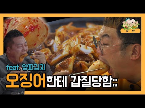갑오징어 한상차림에 양파김치 와앙 [참맛탱] (부안1편)