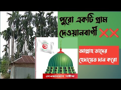 ভিডিও: ইন্না কিমিট এবং তার অপ্রচলিত ভূমিকা৷