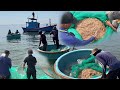 Nghề Kéo Lưới Ruốc Của Ngư Dân Nghề Biển || Cuộc Sống Vất Vả Của Bà Con Ninh Thuận