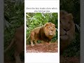 george of the jungle (1997) #movie #trending #viral #ytshorts #youtubeshorts #comedy #funny