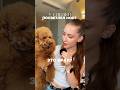 А какой нос у вашей 🐶?