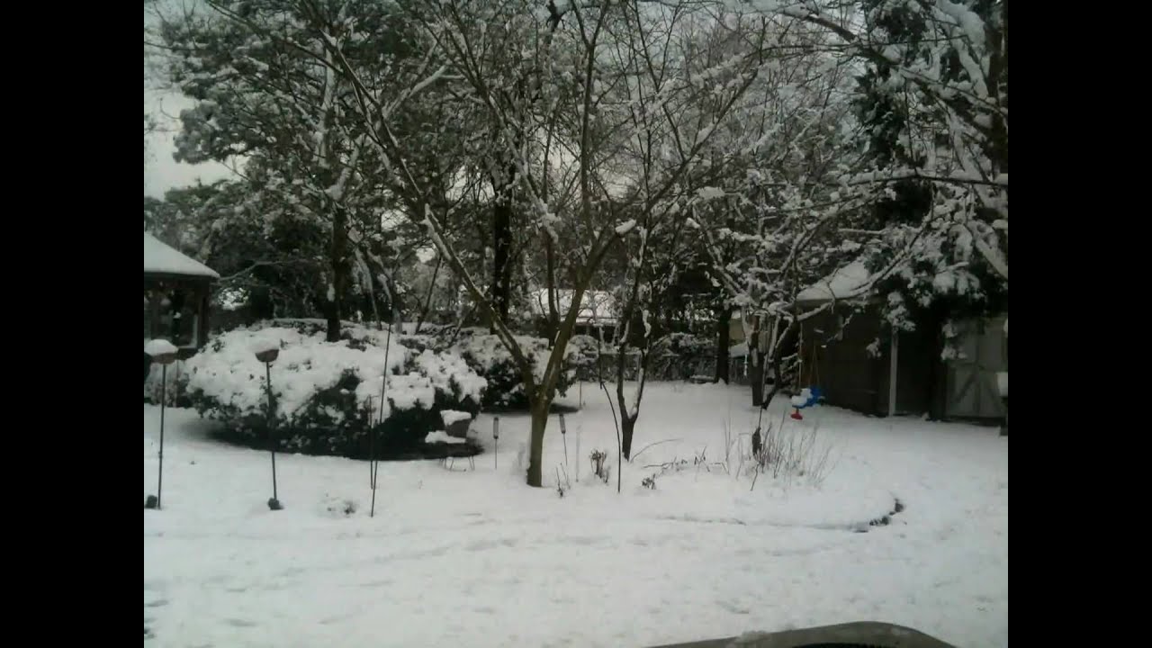 Snow melting time lapse YouTube