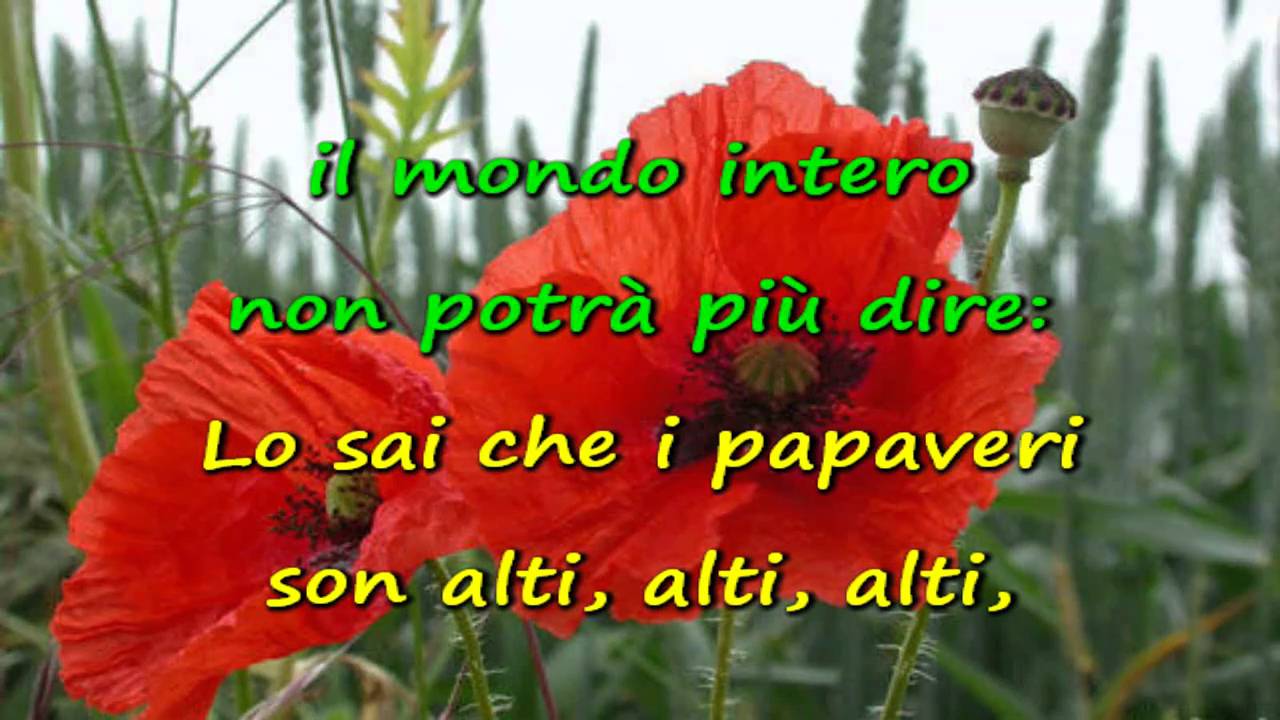 第４６号 ひなげしとガチョウの恋の歌 Papaveri E Papere Nilla Pizzi イタリア写真草子