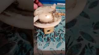 HONDA CBR 250R FUEL PUMP ASSEMBLY FULL 4000-/ ONLY