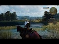 RX 580 8GB Nitro+ Special Edition the witcher 3