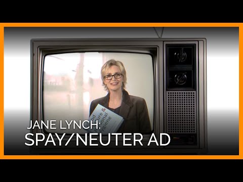 Jane Lynch Spay/Neuter Ad