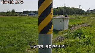 (매물번호 8275)경상북도 상주시 사벌국면 덕가리 농지, 2차선 도로변에 위치하고 있으면  4필지 2388평. 계획관리지역, 농림지역으로 도로보다 1m이상 낮음. 밭으로 사용중