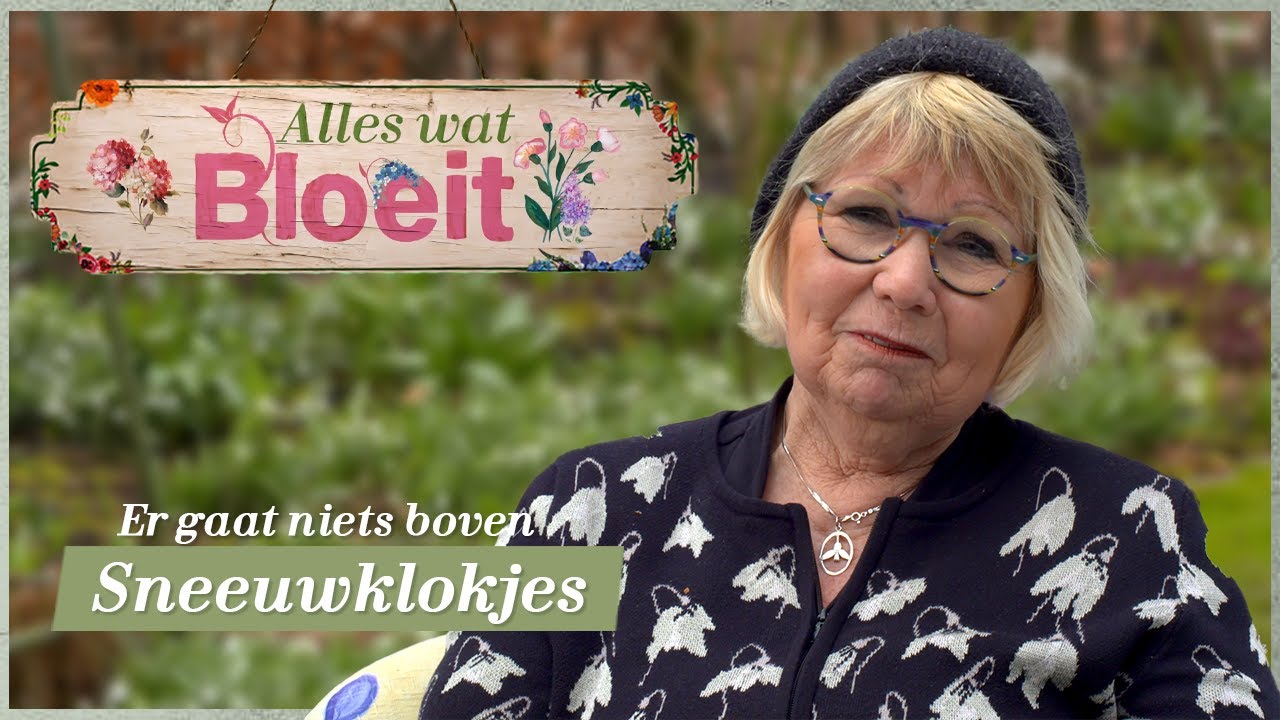 Er gaat niets boven sneeuwklokjes | Alles Wat Bloeit