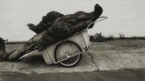 Godzilla raids again in a nutshell