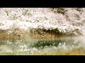 【自然の音】雪降る温泉 / Nature Sounds - Snowy Hot Spring