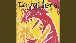 Vignette de la vidéo "The Levellers - Carry Me"
