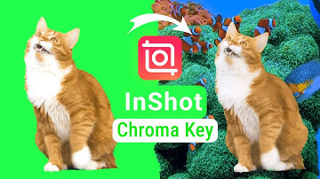 How to Use Chroma Key in InShot App | InShot Video Editor