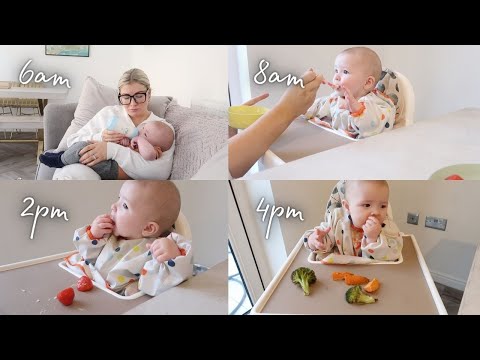 WHAT MY 6 MONTH OLD EATS IN A DAY | MILK PUREES AND FINGER FOOD FEEDING ROUTINE | ellie polly