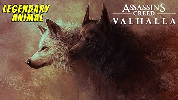 THE CORPSE FEEDERS - ASSASSIN